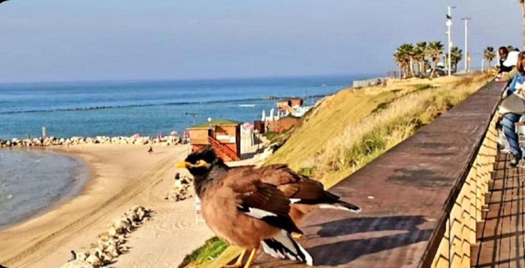 بات يام Motel Hofim المظهر الخارجي الصورة